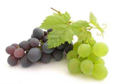 葡萄籽好還是膠原蛋白好？各有千秋