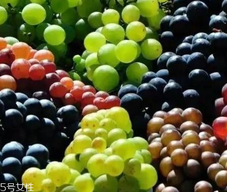 葡萄籽好還是膠原蛋白好？各有千秋