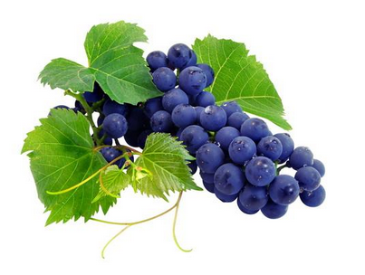 葡萄籽祛斑多久有效果？效果因人而異