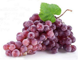 葡萄籽祛斑多久有效果？效果因人而異