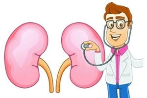 怎樣預(yù)防腎病的發(fā)生 護腎飲食10要點 怎樣預(yù)防腎病的發(fā)生 護腎飲食10要點