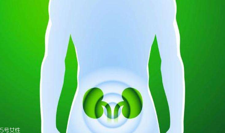 怎樣預(yù)防腎病的發(fā)生 護腎飲食10要點 怎樣預(yù)防腎病的發(fā)生 護腎飲食10要點