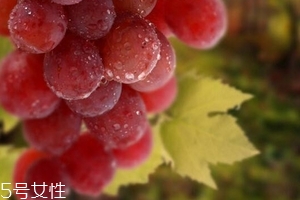 葡萄籽泡水喝有作用嗎？美容保健