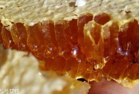 土蜂蜜為什么有點(diǎn)苦 采摘的花粉未完全成熟 土蜂蜜為什么有點(diǎn)苦 采摘的花粉未完全成熟