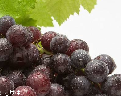 葡萄籽能和感冒藥一起吃嗎？