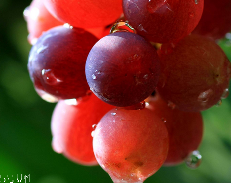 葡萄籽可以空腹吃嗎？要分情況