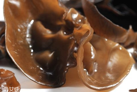 秋木耳泡多久 完全泡發(fā)即可 秋木耳泡多久 完全泡發(fā)即可