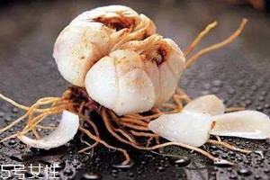 新鮮百合怎么吃 可以直接生吃 新鮮百合怎么吃 可以直接生吃