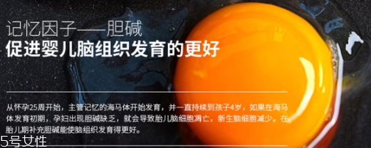 黃金素和dha可以一起吃嗎？