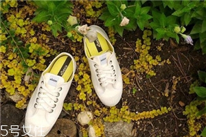 novesta可以在哪里買？來自中歐的手工品牌