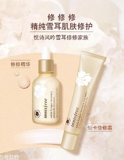 悅詩風(fēng)吟雪耳系列怎么樣 韓國熱門護(hù)膚品牌 悅詩風(fēng)吟雪耳系列怎么樣 韓國熱門護(hù)膚品牌