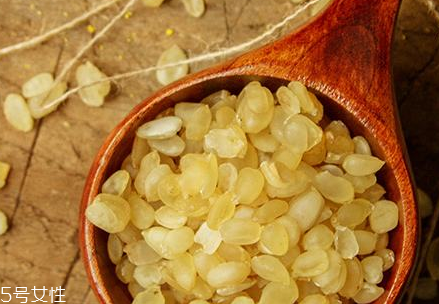 皂角米能美容嗎？含膠原蛋白有美容效果
