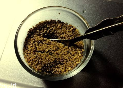 芝麻粉什么時(shí)候吃最好 最佳食用時(shí)間 芝麻粉什么時(shí)候吃最好 最佳食用時(shí)間