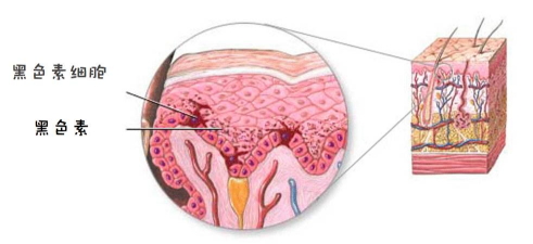 郁美凈鮮奶霜會(huì)變黑嗎？小編帶你來辟謠
