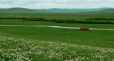郁美凈和青蛙王子哪個(gè)好？
