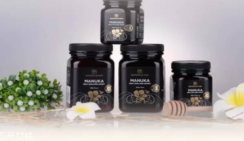 沃森麥盧卡蜂蜜怎么吃？watsonson麥盧卡蜂蜜這樣服用