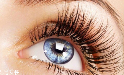 燙睫毛會(huì)對(duì)睫毛有損傷嗎 燙睫毛的壞處 燙睫毛會(huì)對(duì)睫毛有損傷嗎 燙睫毛的壞處