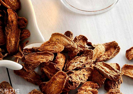 牛蒡茶是熱性還是涼性？牛蒡茶的屬性