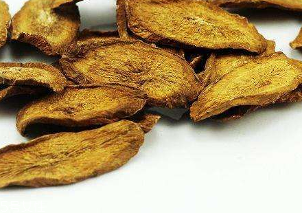 牛蒡茶是什么做的？牛蒡茶是樹根嗎？