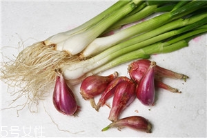 紅蔥頭的功效與作用 火蔥頭的功效與作用 紅蔥頭的功效與作用 火蔥頭的功效與作用