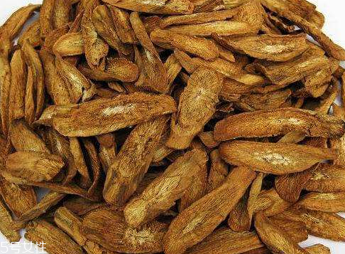 牛蒡茶是什么味道？牛蒡茶味道好嗎