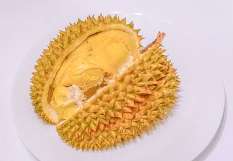 甲侖榴蓮是哪里的特產(chǎn) 甲侖榴蓮的產(chǎn)地 甲侖榴蓮是哪里的特產(chǎn) 甲侖榴蓮的產(chǎn)地