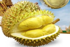 甲侖榴蓮辨別生熟的方法 甲侖榴蓮生熟技巧 甲侖榴蓮辨別生熟的方法 甲侖榴蓮生熟技巧