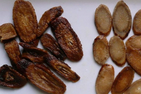 牛蒡茶和枸杞一起泡水喝嗎？