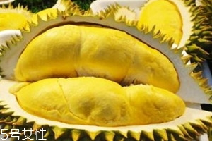 馬來西亞榴蓮是幾月 馬來西亞榴蓮成熟時間 馬來西亞榴蓮是幾月 馬來西亞榴蓮成熟時間