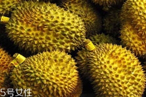 越南榴蓮多少錢(qián)一斤 越南榴蓮與泰國(guó)榴蓮的區(qū)別