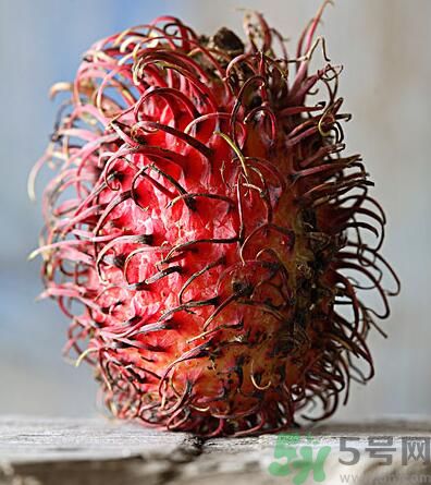 紅毛丹的核能吃嗎？紅毛丹的核可以吃嗎？