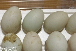 鴨蛋是酸性還是堿性？鴨蛋的性質(zhì)