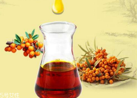 沙棘油什么時(shí)間吃最好 沙棘油的用法及用量 沙棘油什么時(shí)間吃最好 沙棘油的用法及用量