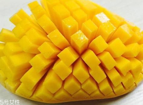 水仙芒果什么季節(jié)成熟 水仙芒產(chǎn)地在哪里 水仙芒果什么季節(jié)成熟 水仙芒產(chǎn)地在哪里
