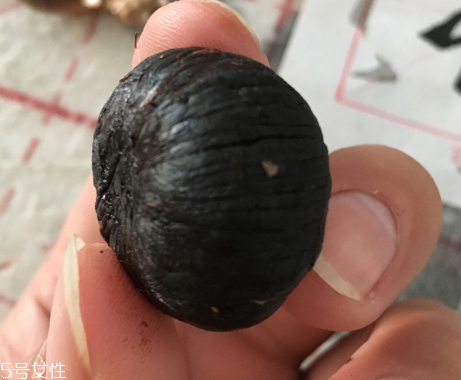 黑蒜是種植出來的嗎？黑蒜怎么來的