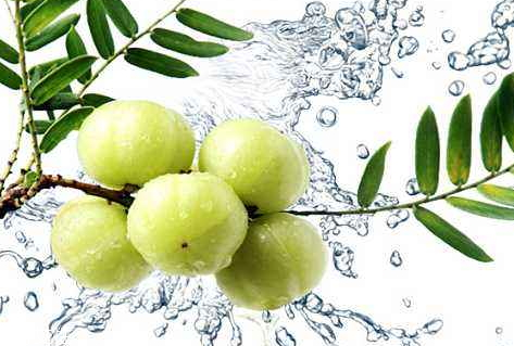 余甘果怎么吃 余甘果可以生吃嗎 余甘果怎么吃 余甘果可以生吃嗎