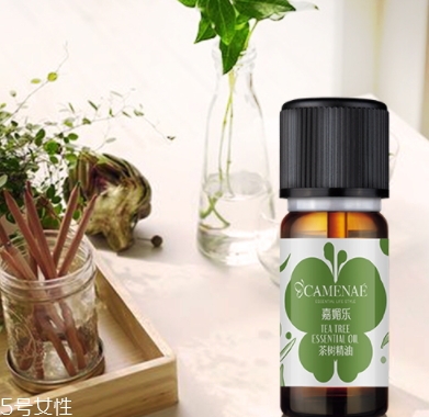茶樹精油可以治婦科病嗎？茶樹精油怎么治婦科病