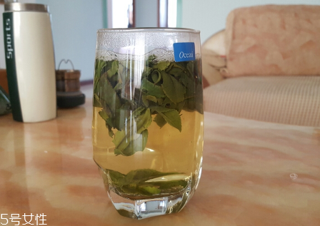 六安瓜片是什么茶？六安瓜片好喝嗎？