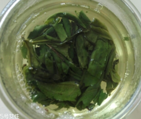 六安瓜片是紅茶還是綠茶？