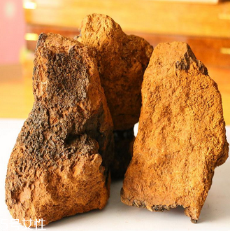 樺樹(shù)茸怎么吃？樺樹(shù)茸正確吃法