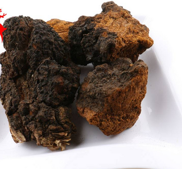 樺樹(shù)茸怎么吃？樺樹(shù)茸正確吃法