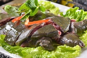 野生甲魚怎么殺 野生甲魚的處理方法 野生甲魚怎么殺 野生甲魚的處理方法