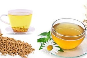 苦蕎茶什么人不能喝 苦蕎茶宜忌人群 苦蕎茶什么人不能喝 苦蕎茶宜忌人群