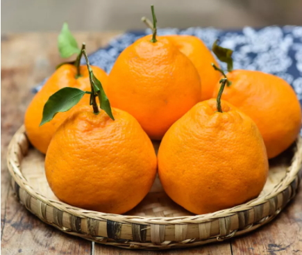 耙耙柑和不知火哪個(gè)好？耙耙柑和不知火區(qū)別