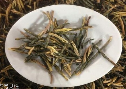 苦丁茶什么時候喝最好 適合喝苦丁茶的季節(jié) 苦丁茶什么時候喝最好 適合喝苦丁茶的季節(jié)