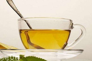 苦丁茶為什么那么苦 苦丁茶怎么喝不苦 苦丁茶為什么那么苦 苦丁茶怎么喝不苦