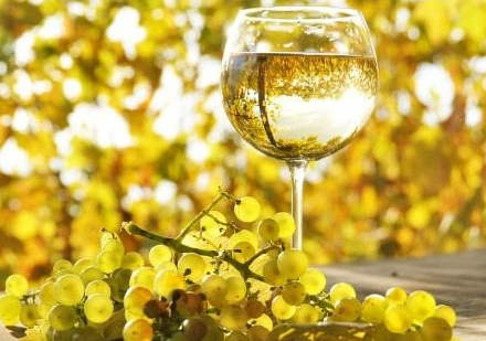 白葡萄酒是什么顏色 白葡萄酒為什么會變色 白葡萄酒是什么顏色 白葡萄酒為什么會變色