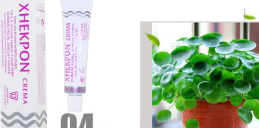 xhekpon頸紋霜多少錢？西班牙頸紋霜購買渠道