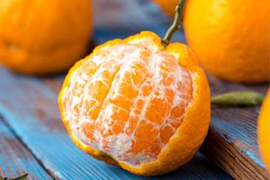 丑八怪是涼性的嗎？丑八怪是熱性還是涼性