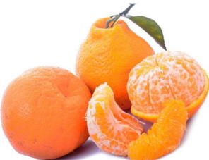 丑八怪是涼性的嗎？丑八怪是熱性還是涼性